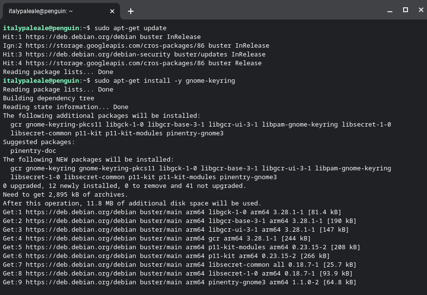 Output of the commands in the terminal