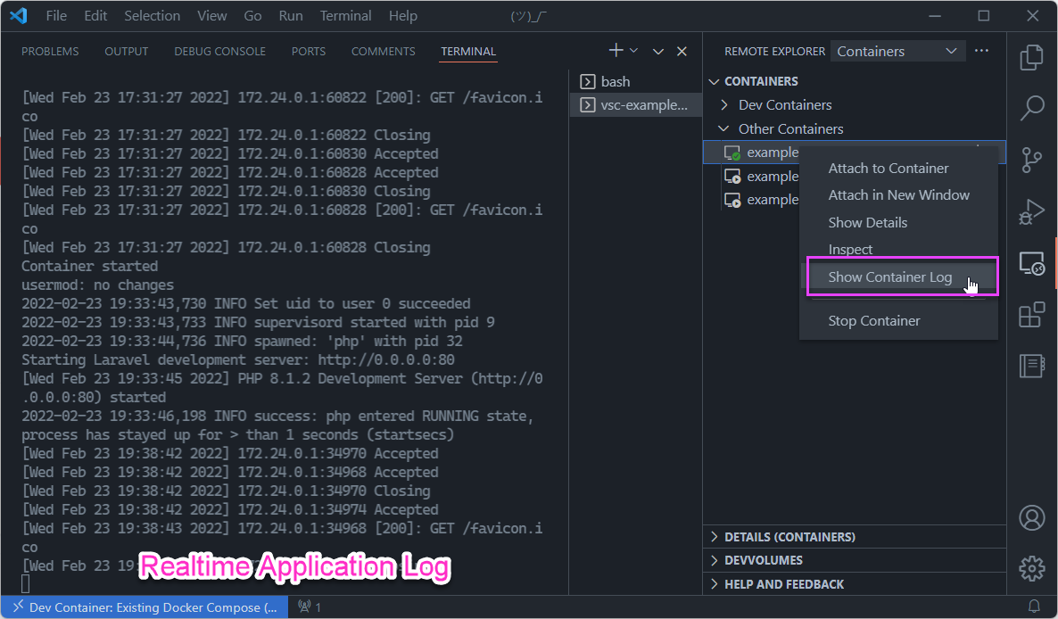 Laravel 应用程序容器登录 VS Code