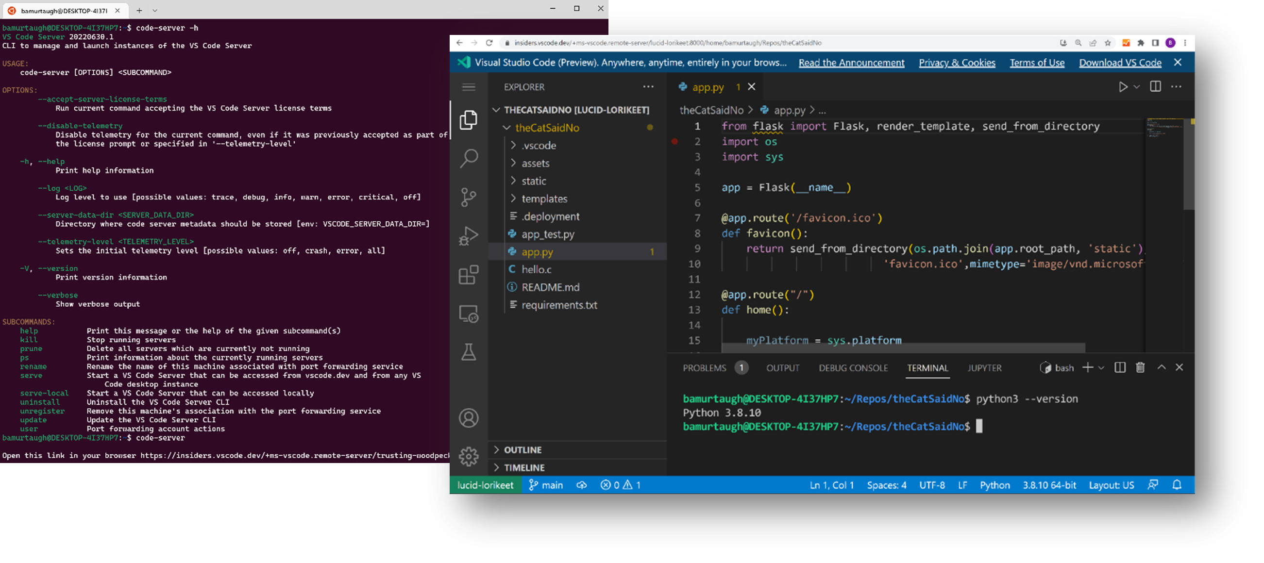 终端启动 VS Code 服务器，并连接到它的 vscode.dev