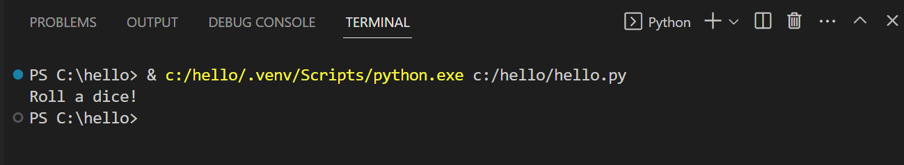 Python 终端中的程序输出