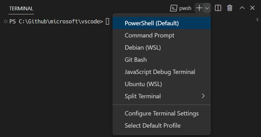 可以在新终端按钮旁边的下拉列表中选择检测到的配置文件。 Windows 上的一些示例包括 PowerShell、命令提示符、Git Bash 和 WSL