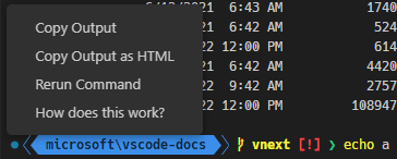 单击成功的命令装饰会显示一个上下文菜单，其中包含以下项目：复制输出、将输出复制为 HTML、重新运行命令以及它是如何工作的？